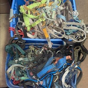 Mixed Assorted Horses Harnesses and Collars - Multi Color